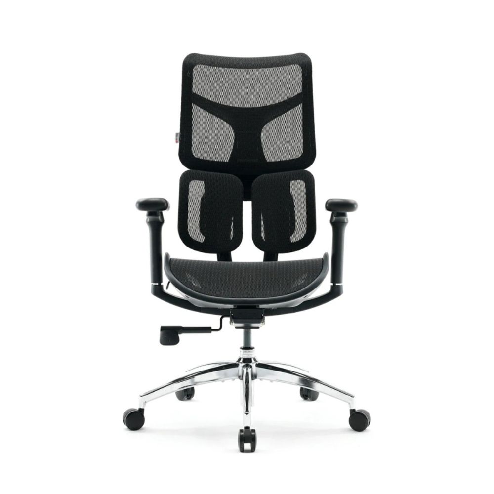 Купить Кресло офисное Sihoo S100-B302-JT, регулировка высоты, подлокотник 3D, Black в Алматы