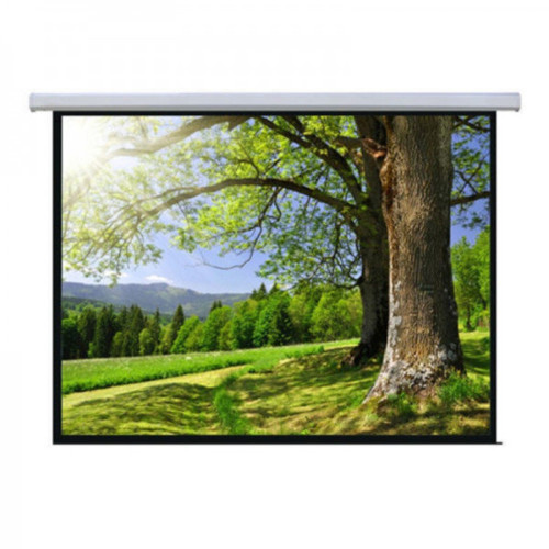 Купить Экран настенный Mr.Pixel 80* X 80* (2,03 X 2,03) в Алматы