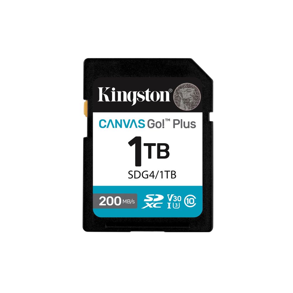 Купить Карта памяти SD, Kingston Canvas Go! Plus, 1TB, SDG4/1TB, Class 10, UHS-I, R200/W160 в Алматы