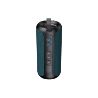 Купить CANYON speaker OnMove 15 40W EQ TWS AUX Dark Blue в Алматы