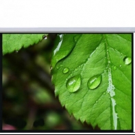 Купить Экран настенный Mr.Pixel 120* X 120* (3,05 X 3,05) в Алматы