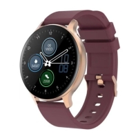 Купить Смарт-часы Canyon Badian SW-68 Vinous (CNS-SW68RR) в Алматы