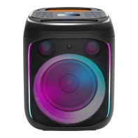 Купить Портативная колонка Canyon&nbsp;OnFun 5 Partybox 40W RGB Black&nbsp;CNE-PBSP5 в Алматы