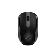 Купить Мышка Genius RS2,NX-8008S,Black 31030028400 в Алматы