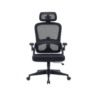 Купить Кресло офисное Sihoo M102C-M101, регулировка высоты, подлокотник 3D, Black в Алматы