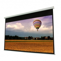 Купить PROscreen Экран моторизованный MLE9110 в Алматы