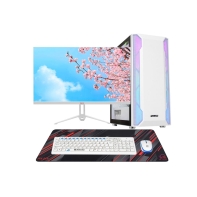 Купить Core i5-12400F-2.5GHz/B760/RAM 32GB/SSD 1TB (M.2)/RTX5060-8GB/no DVD/700W/Монитор 27" Sanc/Pad/ в Алматы