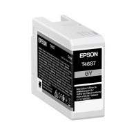 Купить Картридж струйный Epson C13T46S700, T46S серый для SC-P700&nbsp; в Алматы