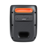 купить Портативная колонка Canyon&nbsp;OnFun 5 Partybox 40W RGB Black&nbsp;CNE-PBSP5 в Алматы фото 3