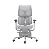 Купить Кресло офисное Sihoo S100-B303-JT, регулировка высоты, подлокотник 3D, Grey в Алматы