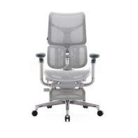 Купить Офисное кресло Sihoo S100-B303-JT серый в Алматы