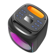 купить Портативная колонка Canyon&nbsp;OnFun 5 Partybox 40W RGB Black&nbsp;CNE-PBSP5 в Алматы фото 2