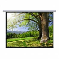 Купить Экран моторизированный Mr.Pixel 72* X 96* (1,83 X 2,44) в Алматы