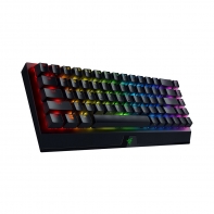 Купить Клавиатура Razer BlackWidow V3 Mini HyperSpeed (Yellow Switch) в Алматы