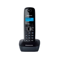 Купить Радиотелефон PANASONIC KX-TG1611RUH в Алматы