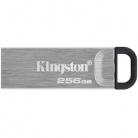 Купить USB-накопитель Kingston DTKN/256GB 256GB Серебристый в Алматы