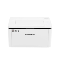 Купить Принтер лазерный Pantum&nbsp;BP2300W в Алматы