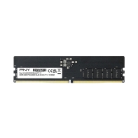 Купить PNY 16GB,DDR5,DIMM,4800,BLK в Алматы