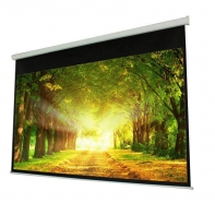 Купить PROscreen Экран моторизованный MLE9120 в Алматы